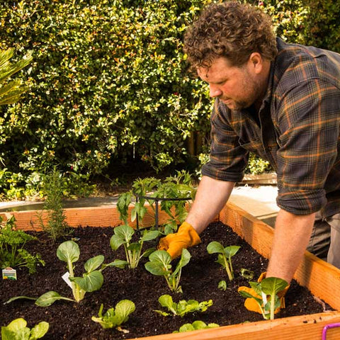 March planting