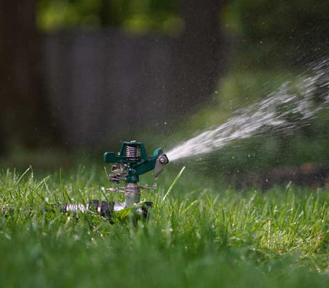 oscillating sprinkler head watering lawn