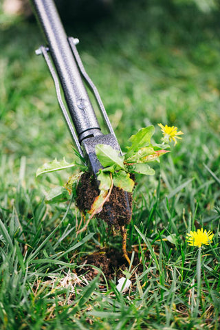 Rocket Weeder long handled weed puller