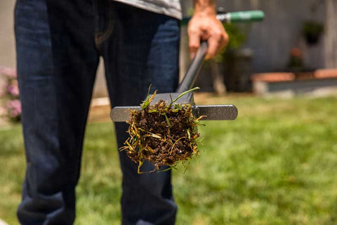 sod plugger lawn repair