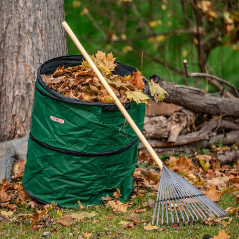 World's Greatest Rake - best for fall leaves