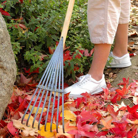 World's Greatest Shrub Rake