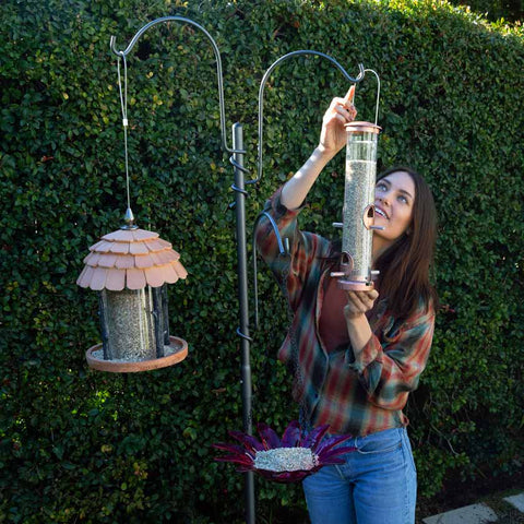 bird feeder station