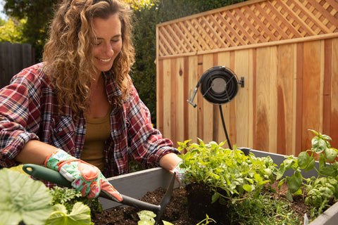 spring planting herb garden