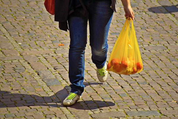 plastic shopping bag being used as a reusable shopping bag