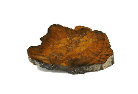 Petrified Fossil Wood - Colorful Specimen