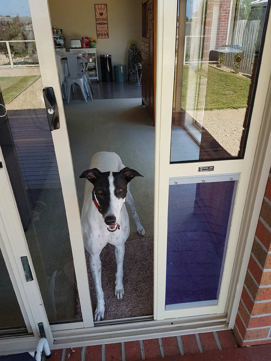 6 Greyhound Pet Door Insert for a Sliding  Door Patio 