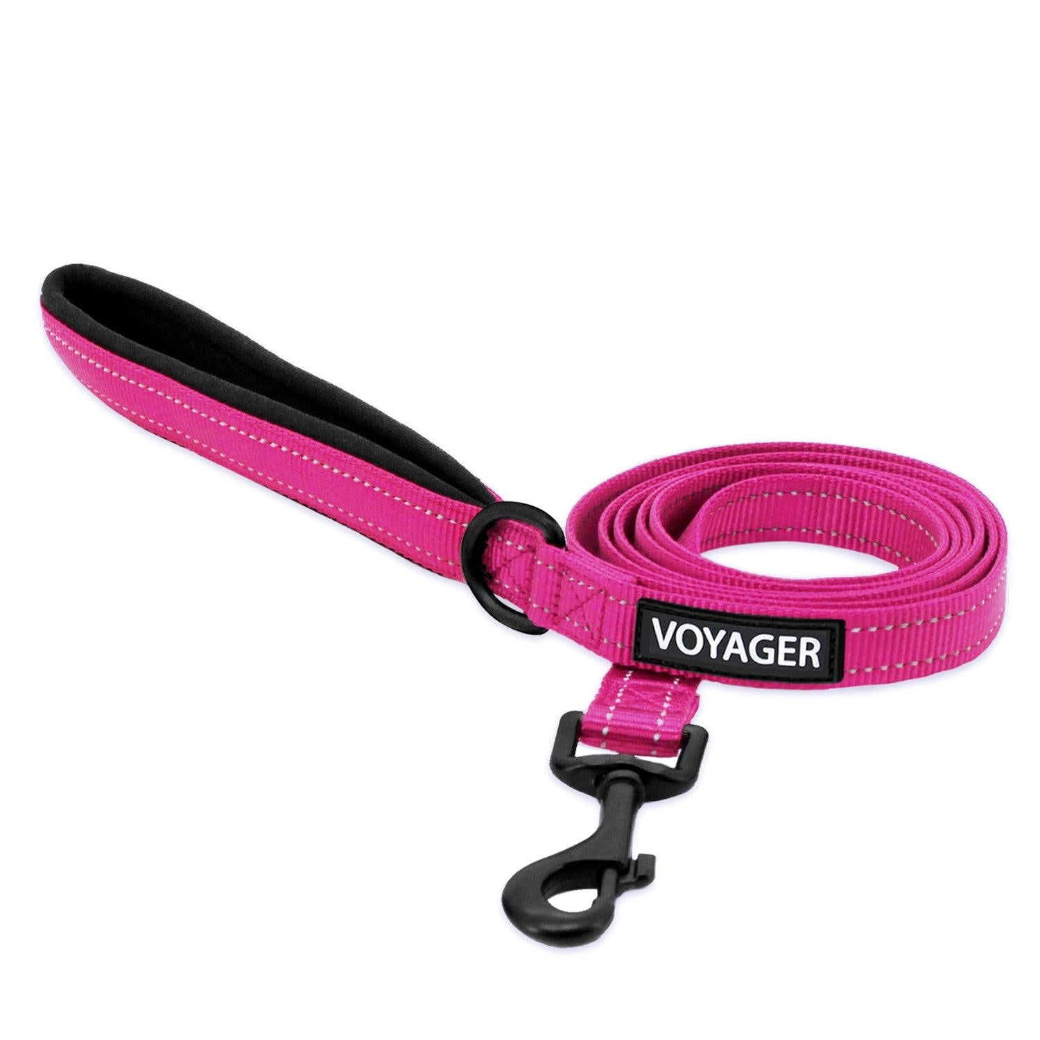 padded dog leash