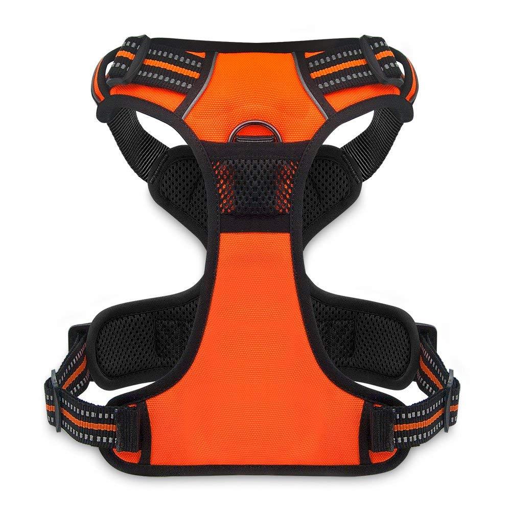 voyager dual attachment dog harness