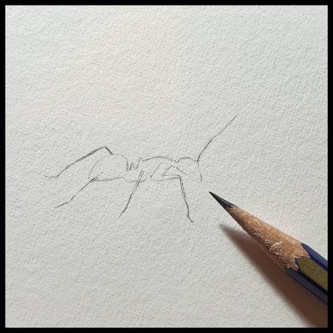 Miniature ant pencil drawing commission