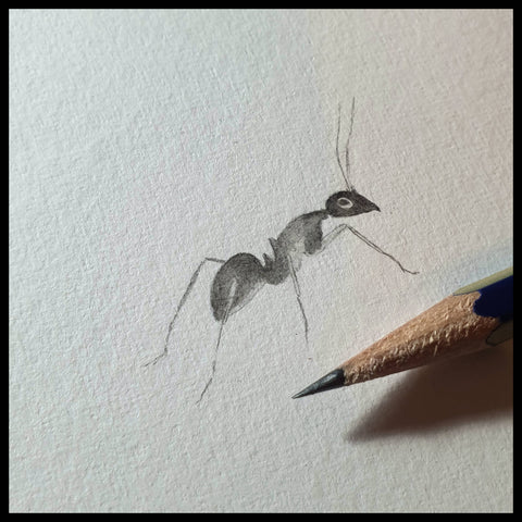 Miniature original ant commission in pencil