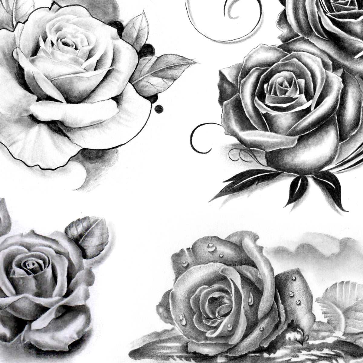 Black And Grey Rose Tattoos For Men / 90 Realistic Rose Tattoo Designs For Men - Floral Ink Ideas - 30 black rose tattoo designs images and picture ideas.