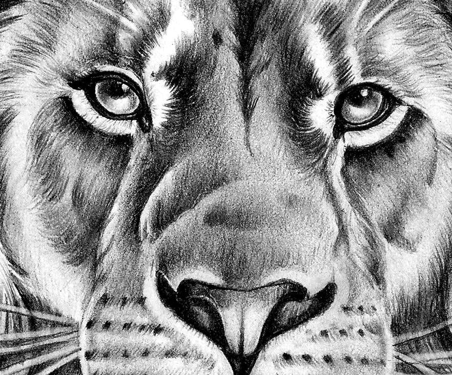 Realistic lion tattoo design digital download TattooDesignStock