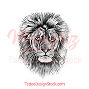 47267 Lion Tattoo Designs Images Stock Photos  Vectors  Shutterstock