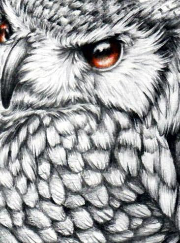 Realistic lion and owl tattoo design digital download – TattooDesignStock