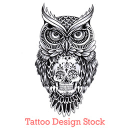 50 Owl Skull Tattoo Designs For Men  Cool Ink Ideas