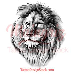Realistic Lion Tattoo Design Digital Download – Tattoodesignstock