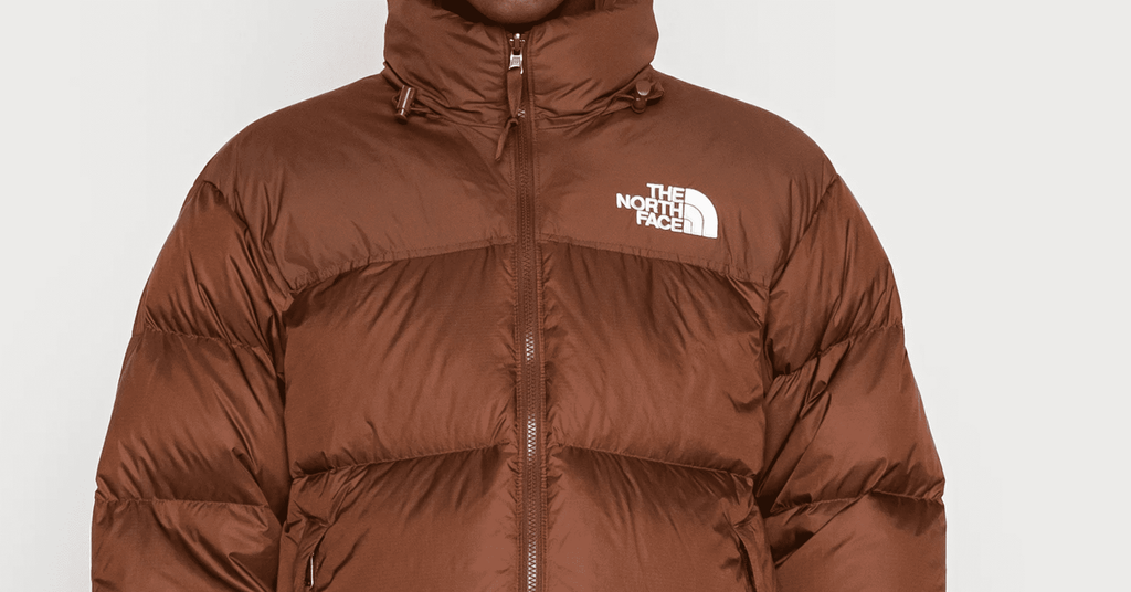 Vriend bladerdeeg Aannemer How To Spot Real Vs Fake The North Face Nuptse Jacket – LegitGrails