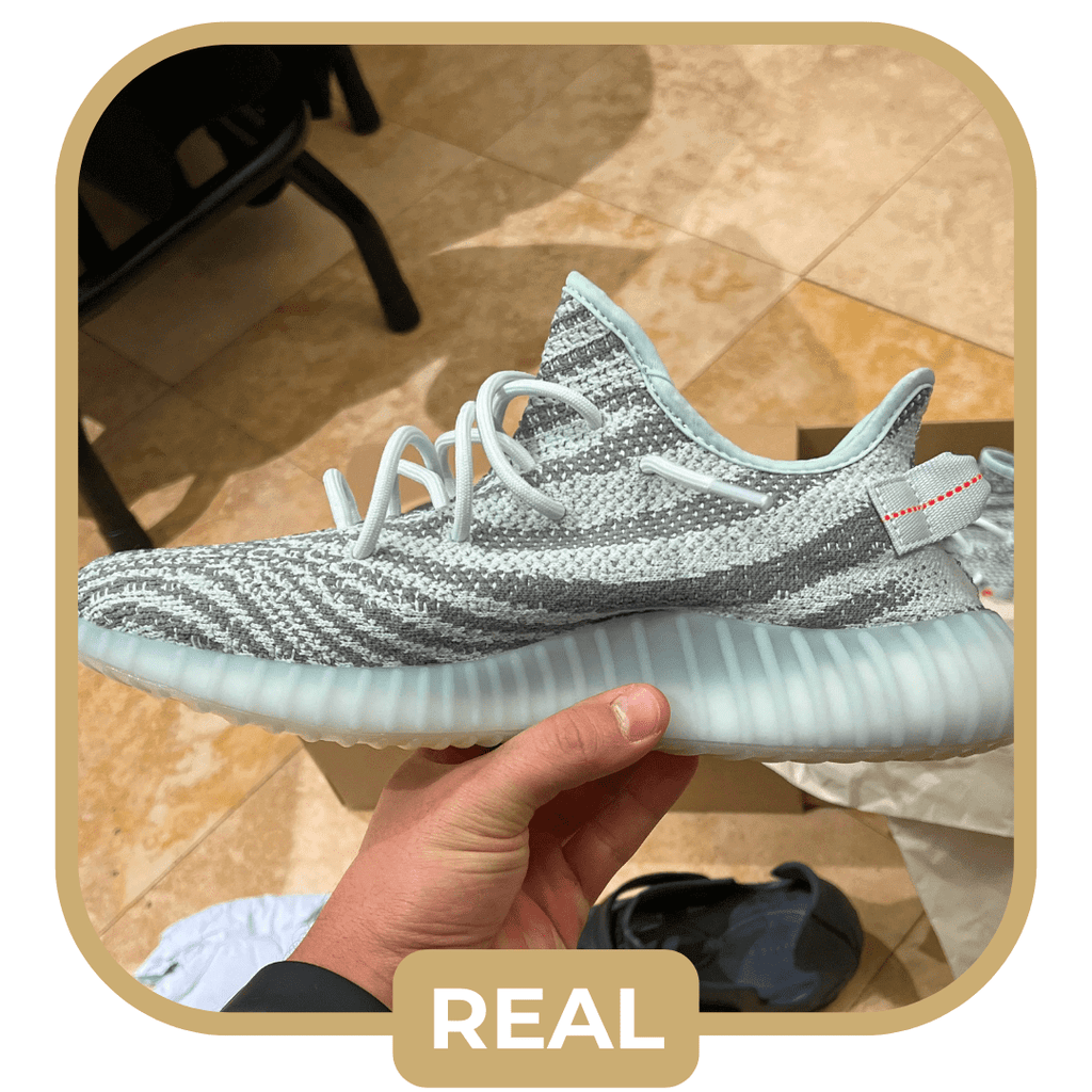 example of authentic Yeezy 350 Blue Tint shoes shape and size