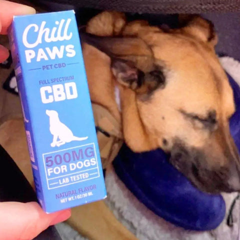 dog CBD