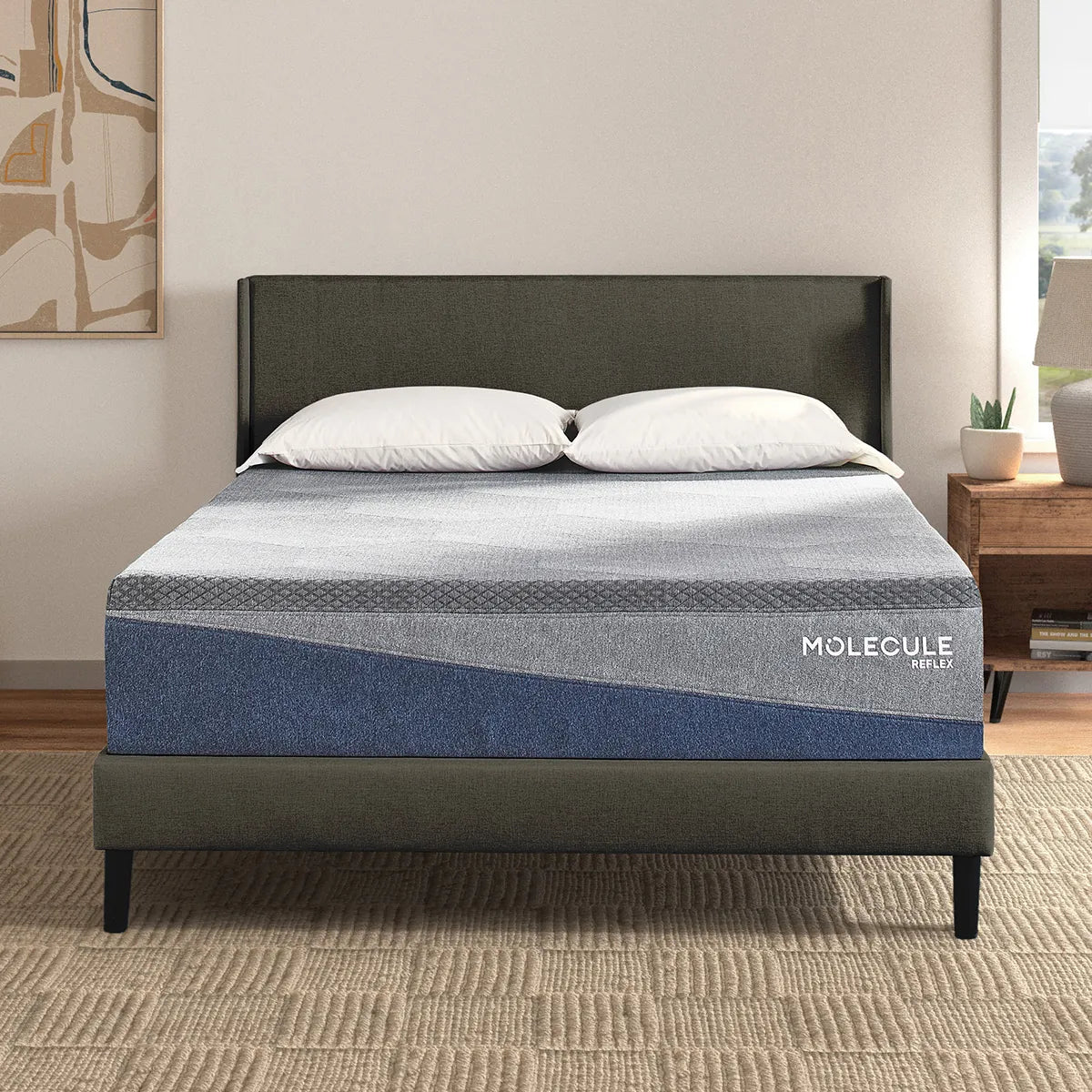 Molecule Reflex Embrace Plush Mattress
