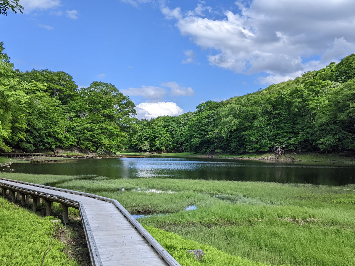 那須の混んでほしくないけど絶対におすすめしたいスポット 大沼園地 チーズガーデン