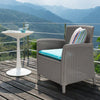 Gardenia Club Chair (Sold in Pairs)