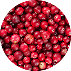 Cranberry