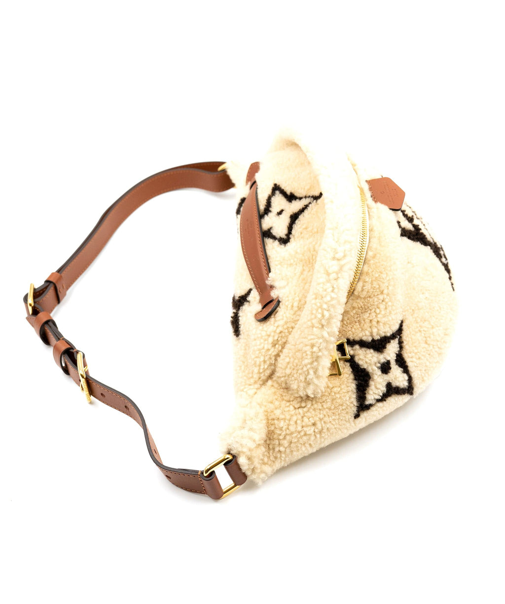 LOUIS VUITTON Monogram Teddy Bumbag 703971  FASHIONPHILE