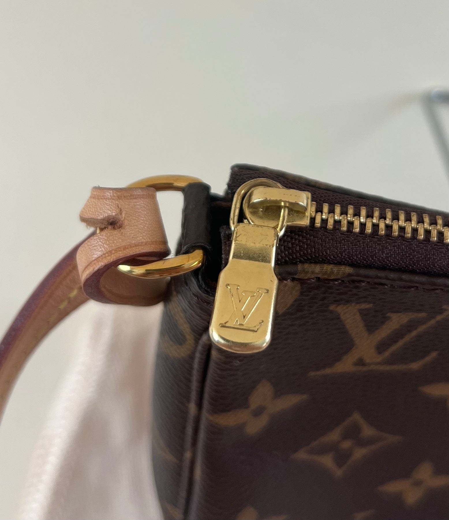 LV Micro Pochette Accessories - SLG Organizer