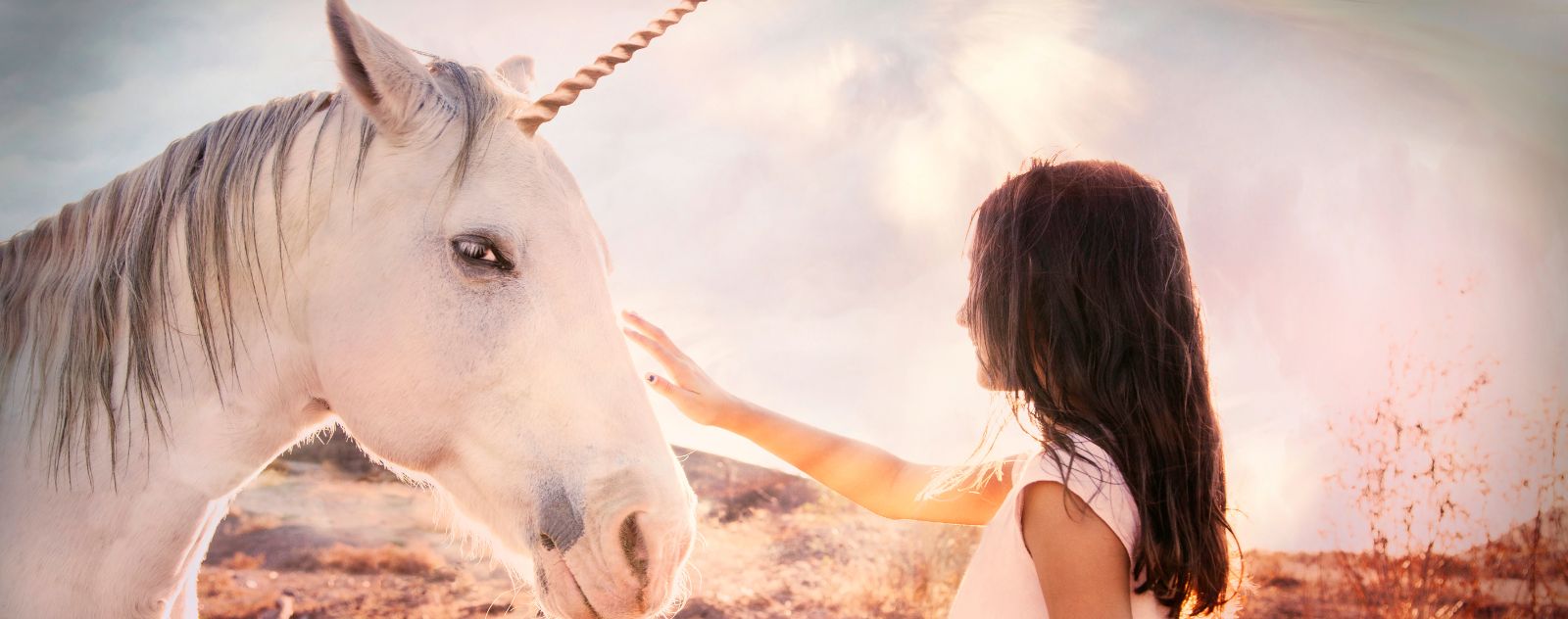 Une licorne avec une fille