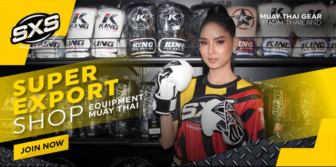 Fairtex Muay Thai Heavy Bag Collection