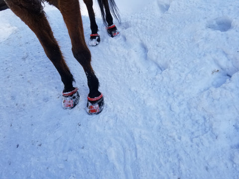 Scoot Boots in snow