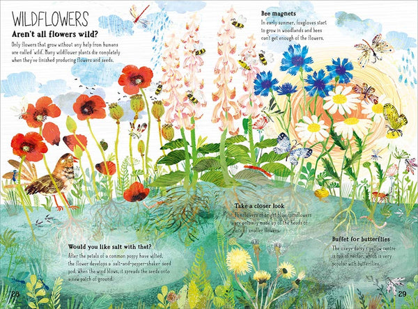 book of blooms yuval zommer