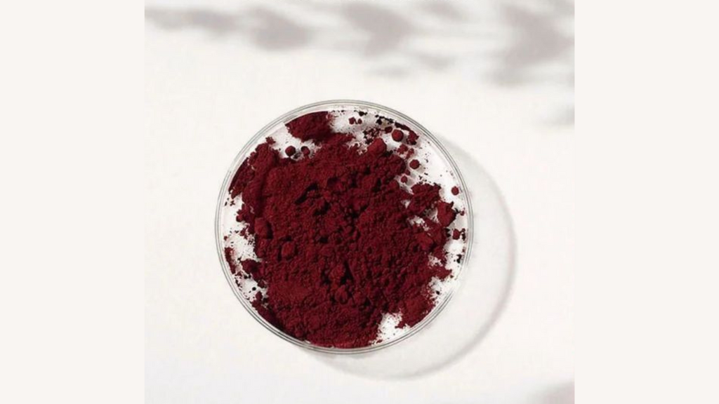 Poudre d'haematococcus pluvialis, une microalgue titrée en pigment rouge antioxydant astaxanthine dans une boîte de pétire