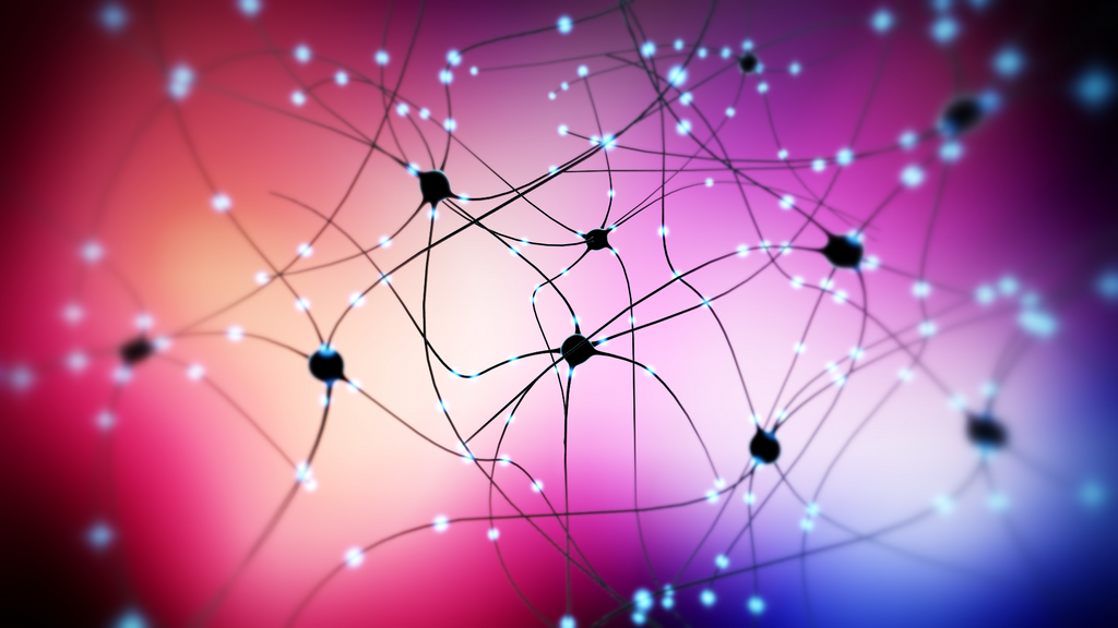 Network of dopaminergic or dopamine neurons in the brain