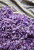 Fleurs de couleur violette posées sur un drap