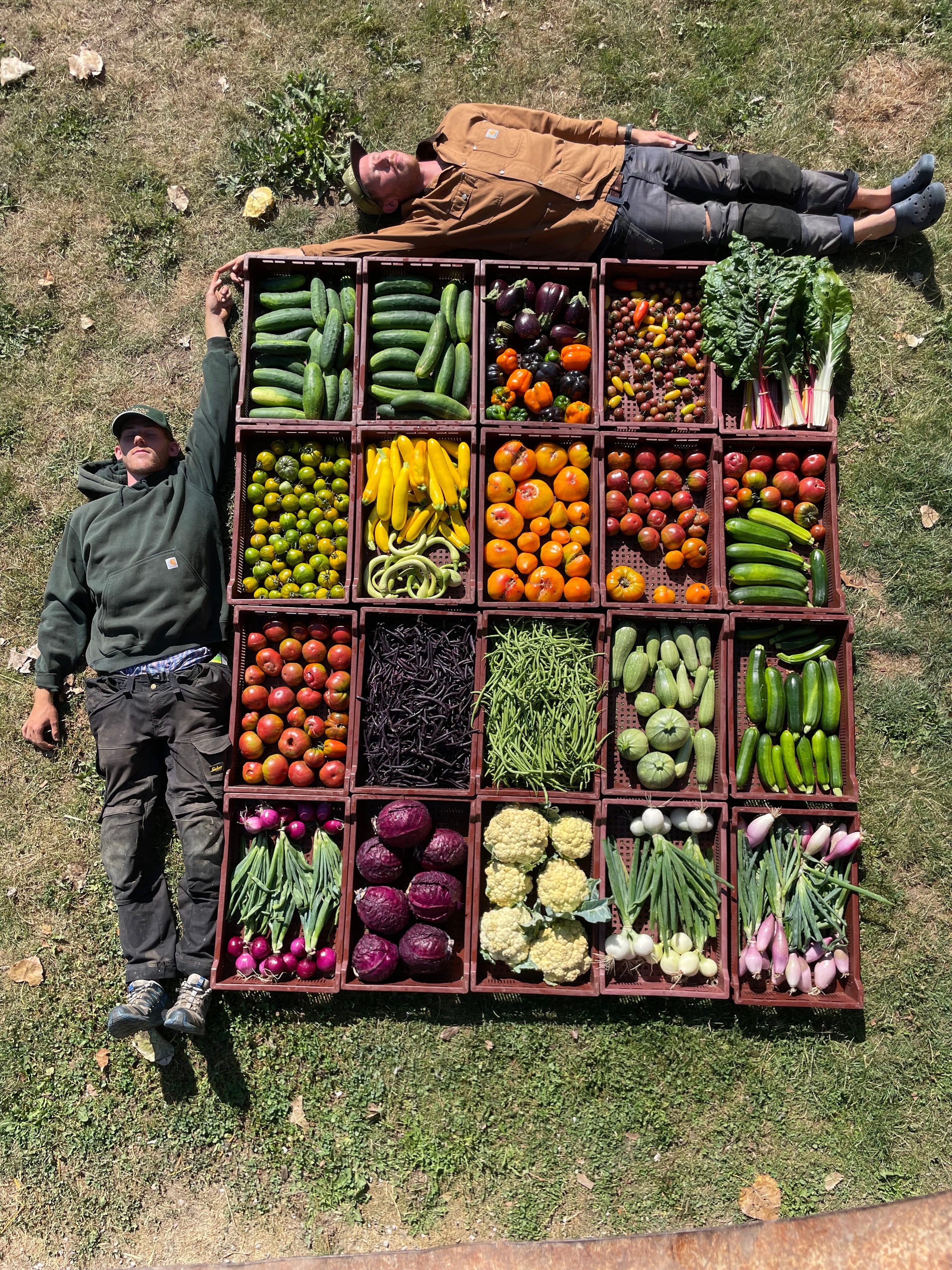 Pierre & Clément - La ferme des frères Côtes - Sainghin-en-Mélantois