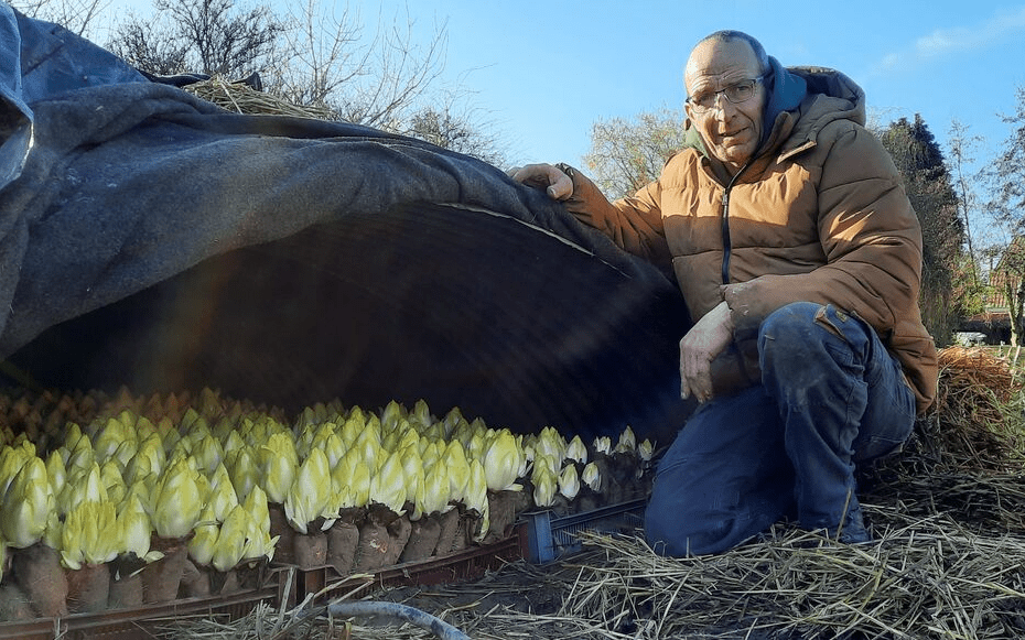 Denis - La ferme Cimetière - Toufflers