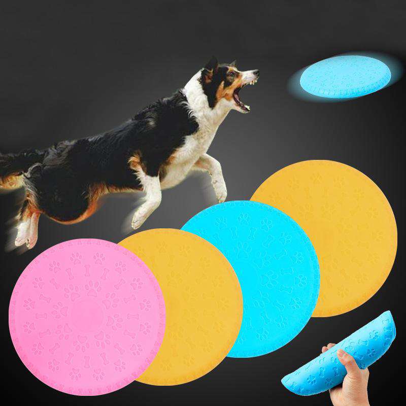soft frisbee for dogs