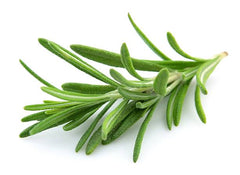 Rosemary essential oil has proven effective at promoting hair growth