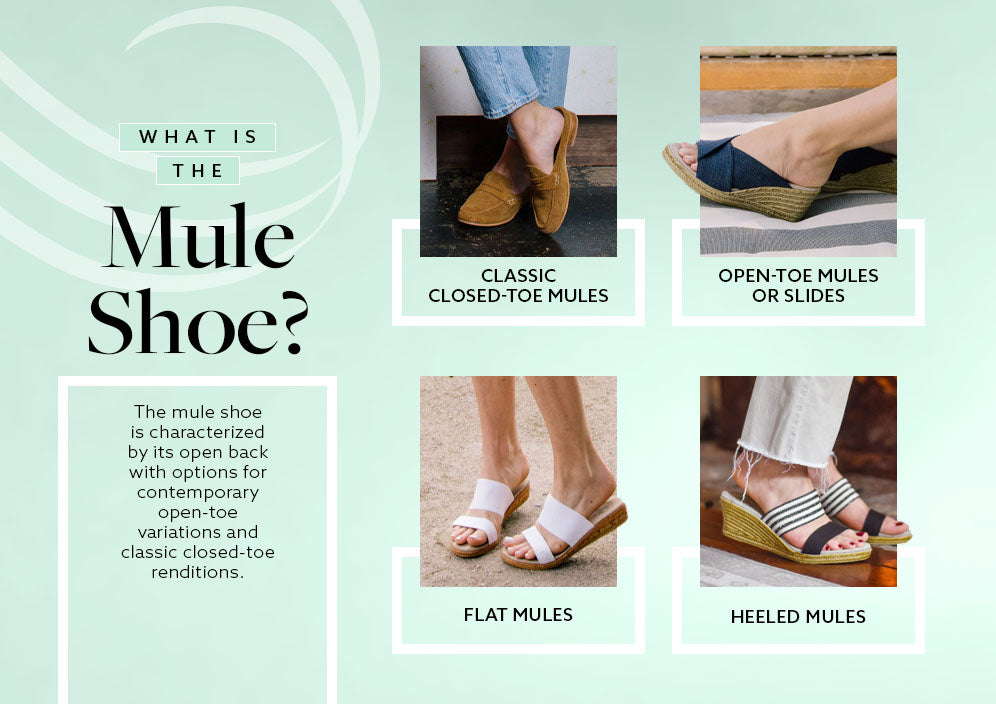 What Is the Mule Shoe?