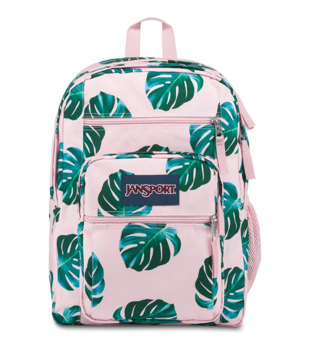 jansport backpack big student