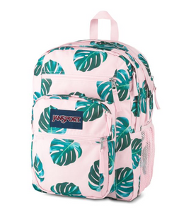 jansport fruit backpack