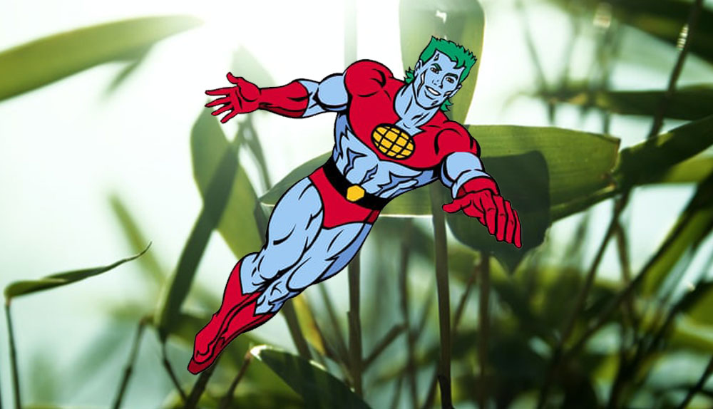 Natural bamboo as captain planet - a renewable resource solution for sustainable living 