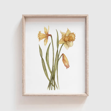 Peach Carnation Flower Botanical Wall Art Print by Michelle Mospens