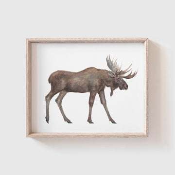 Deer Art Print Set