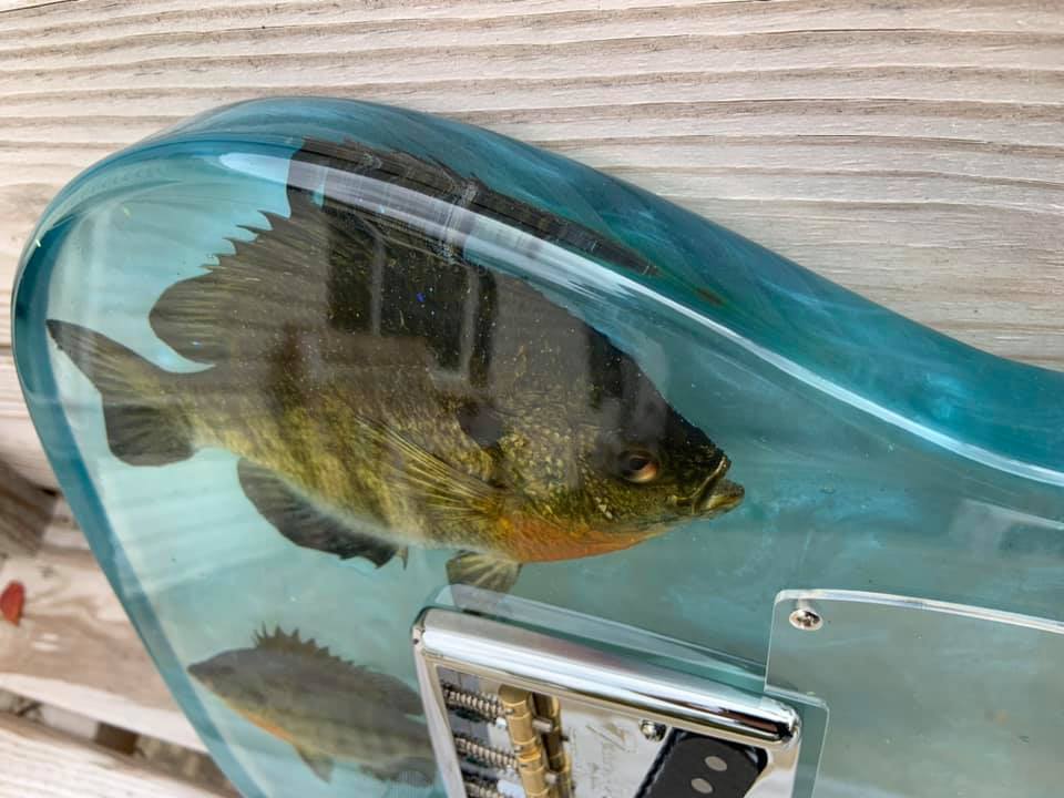 Bluegill fish encased in epoxy guitar using WiseBond DEEP POUR