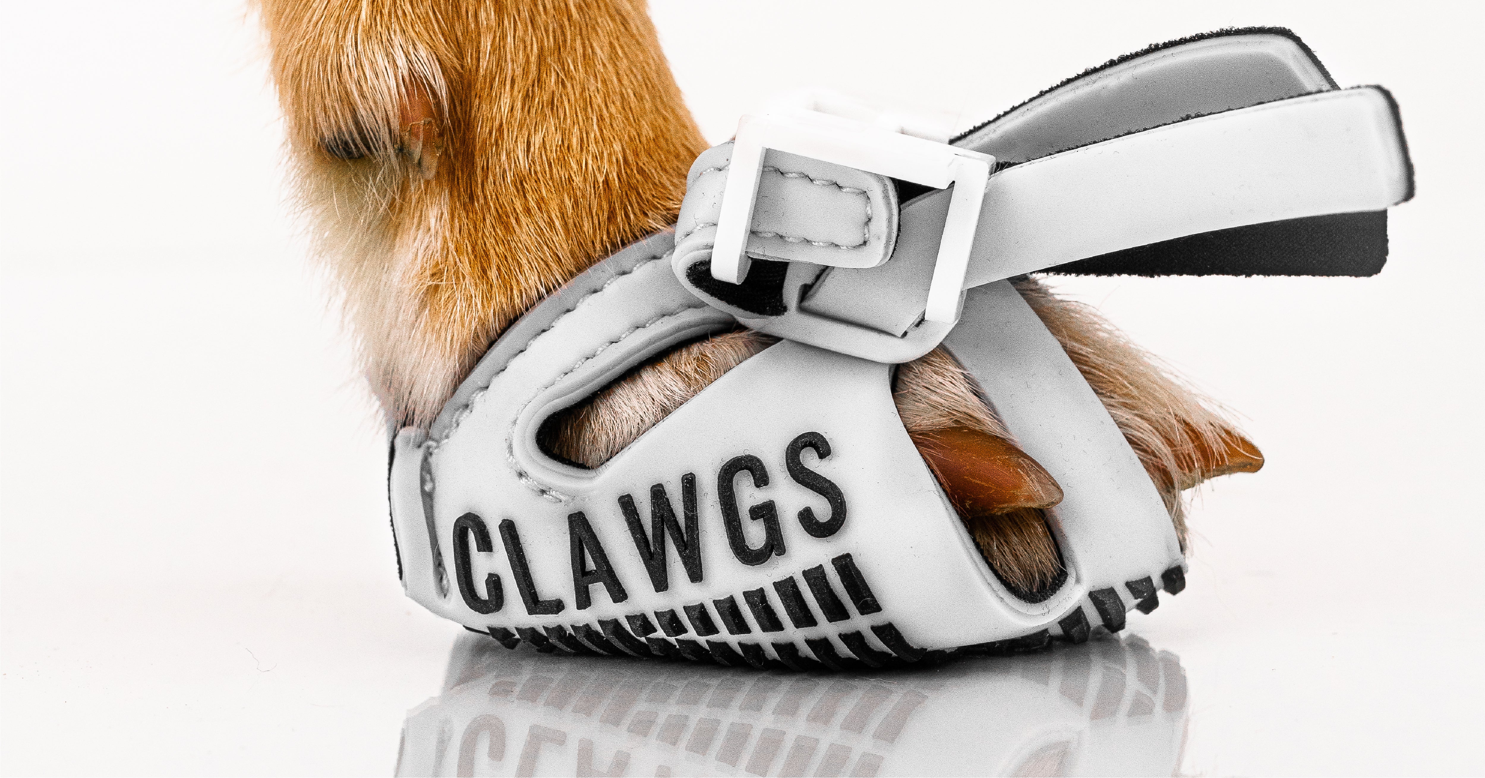 CLAWGS Flexible Measuring Tape Sizing Demonstration 