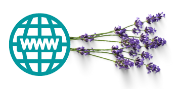 website logo and lavender plant
